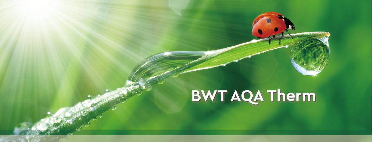 BWT专业采暖水处理系统